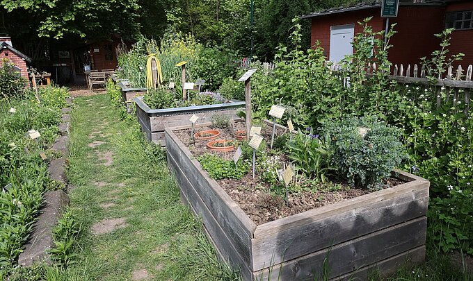 Kräutergarten in der Eva-Lorenz-Umweltstation, Foto: Klaus Keipke