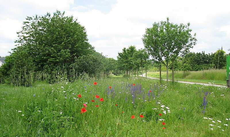 Foto: NABU Krefeld/Viersen Günter Wessels